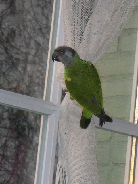 PICT0006_0001.JPG