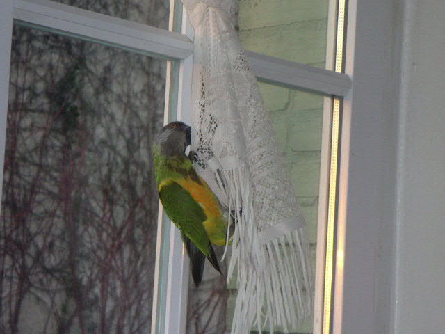 PICT0005_0001.JPG