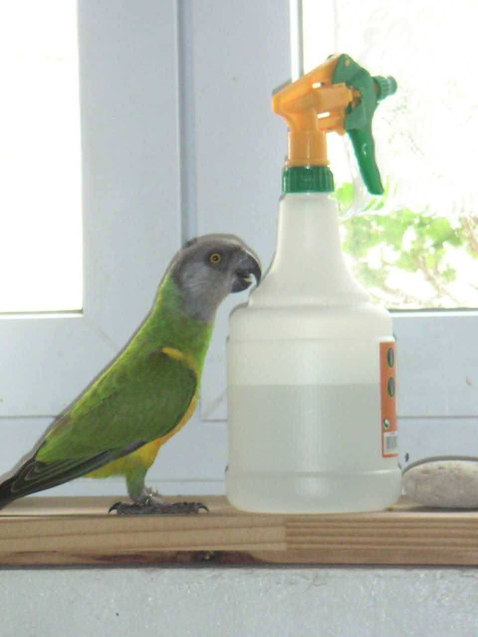 une douche !.JPG