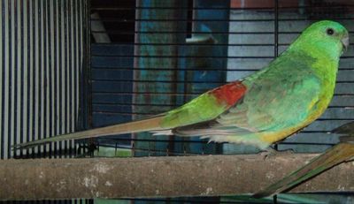 DSCF0125.jpg