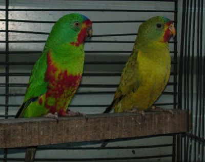 DSCF0344.jpg