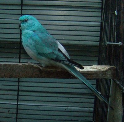 DSCF4849.jpg