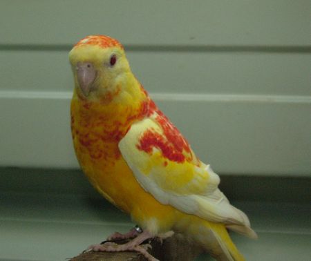 DSCF1073.jpg