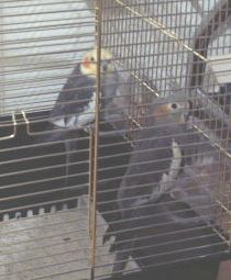 PICT0005.JPG