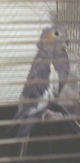 PICT0004.JPG