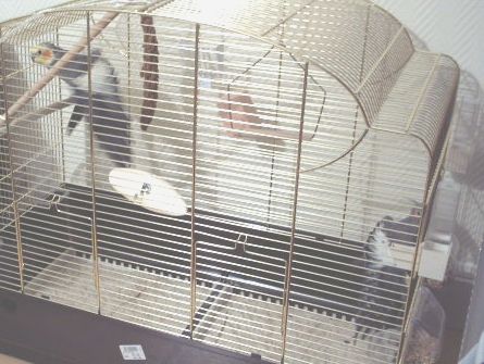PICT0001.JPG
