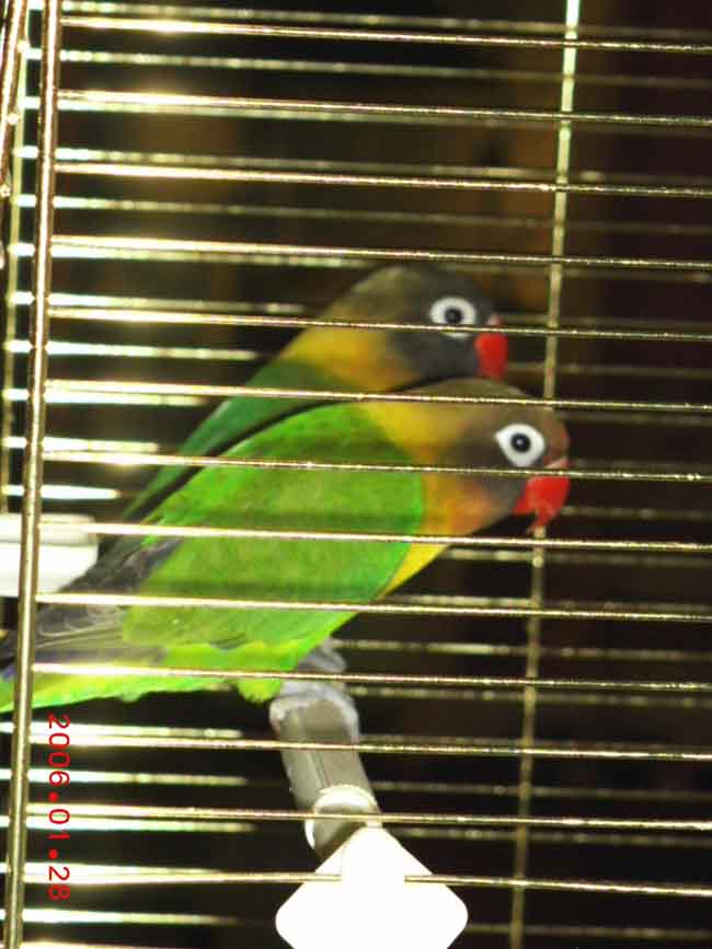 Quick & Fluck0100.jpg