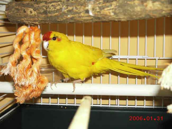 Touki0100.jpg