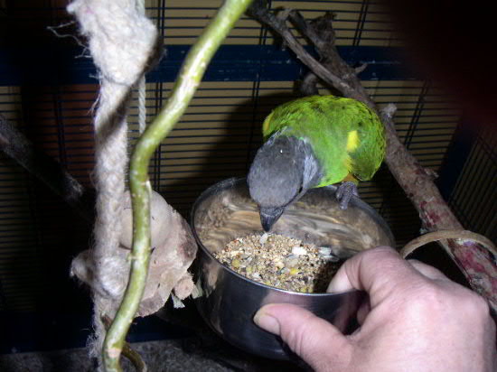 PICT0038.JPG