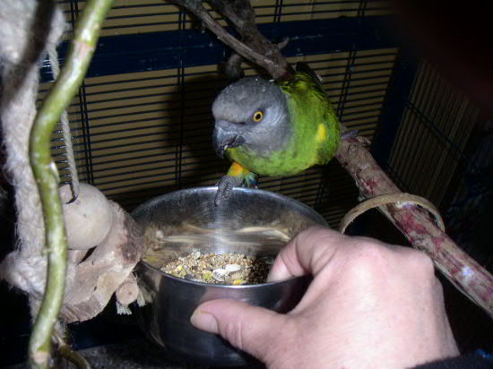PICT0035.JPG