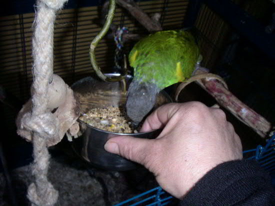 PICT0031.JPG