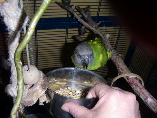 PICT0037.JPG