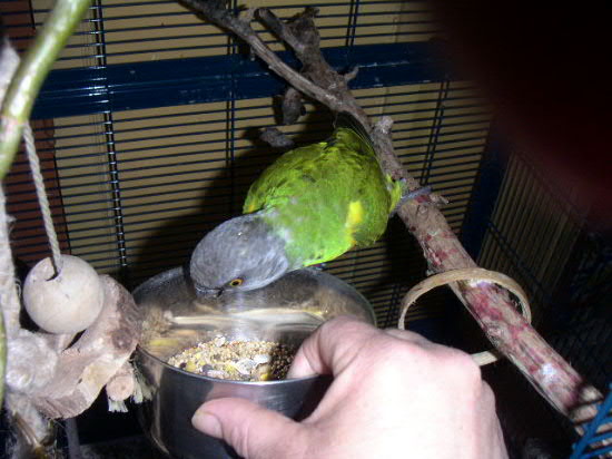 PICT0036.JPG