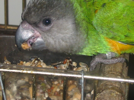 173-7398_IMG.JPG