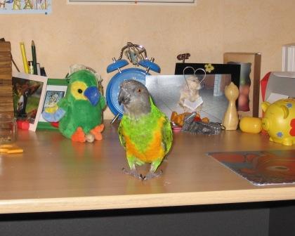 Photo 013.jpg