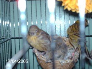 Photo 176.jpg