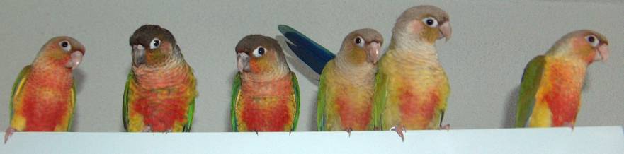 2006-04-27 070.jpg
