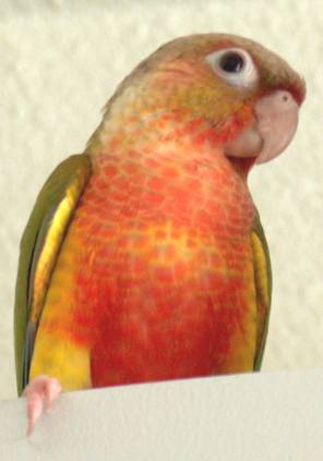 2006-04-27 074.jpg