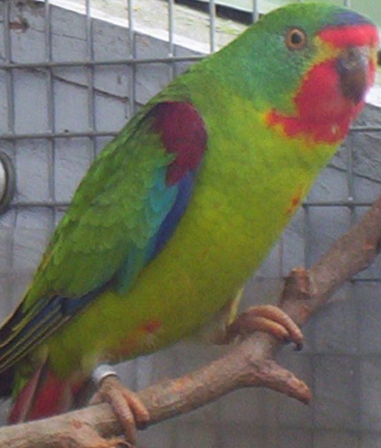 100_0539A.jpg