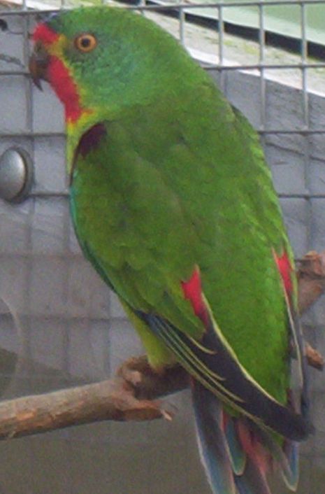 100_0537A.jpg