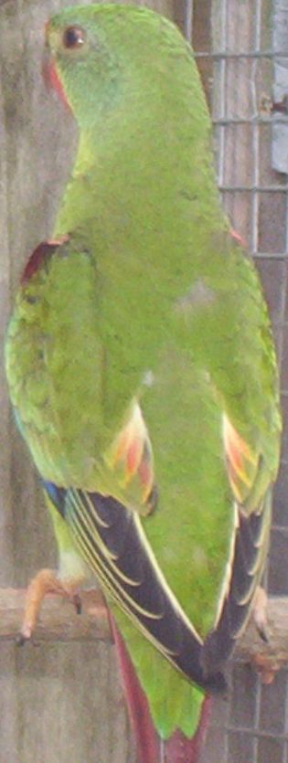 100_0544A.jpg