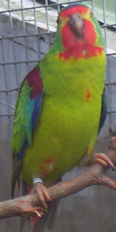 100_0543A.jpg
