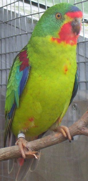 100_0551A.jpg