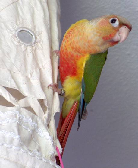 2006-05-12 069.jpg