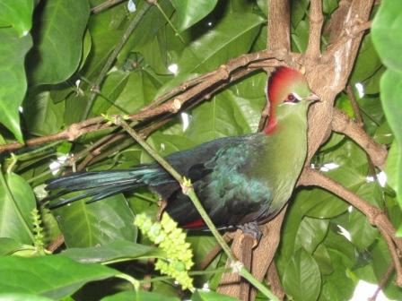 Copie de IMG_1183.jpg