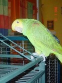 DSC03529.JPG