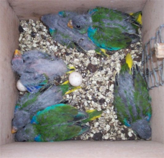 papa cÃ©lÃ¨bre.jpg