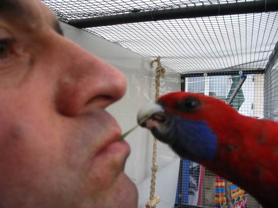 moi et pepere.jpg