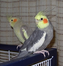 DSCN0097.JPG