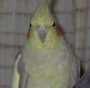DSCN0104.jpg