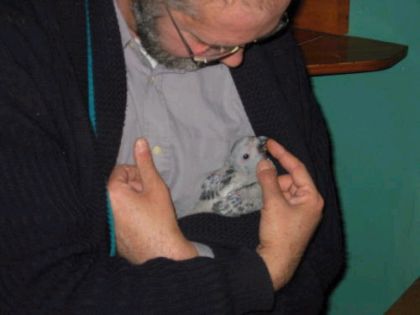 FranÃ§ois_gÃ¢teux_00.jpg