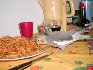 P6300003.JPG