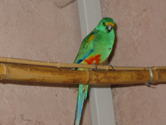 124-2470_IMG.JPG