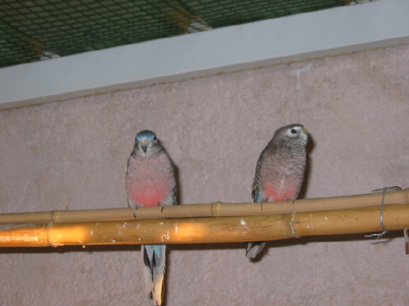 124-2469_IMG.JPG