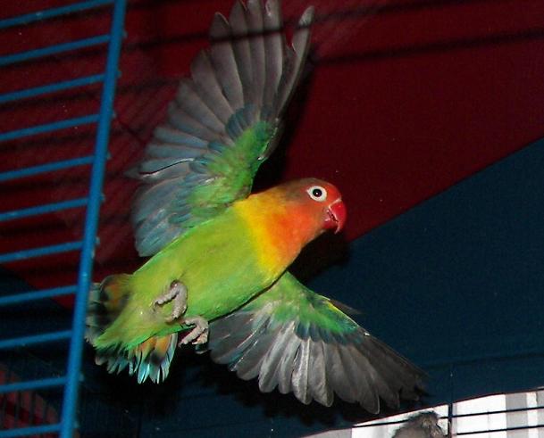 flight 2.JPG