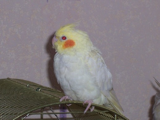 100_4012.JPG