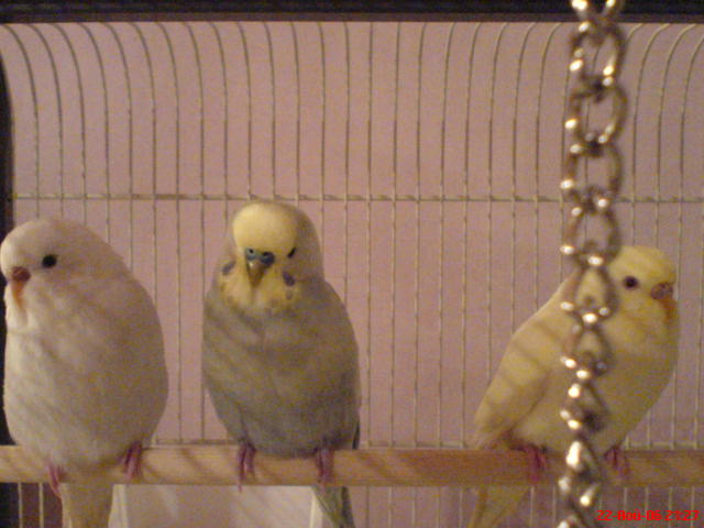 DSC00036.JPG