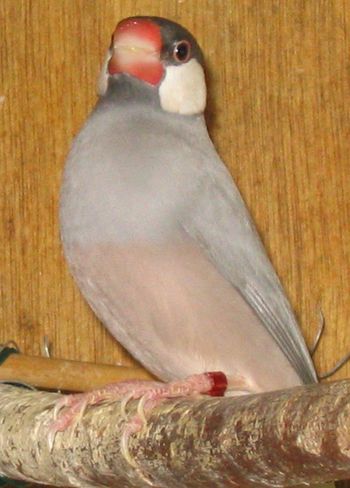 Photo 230.jpg