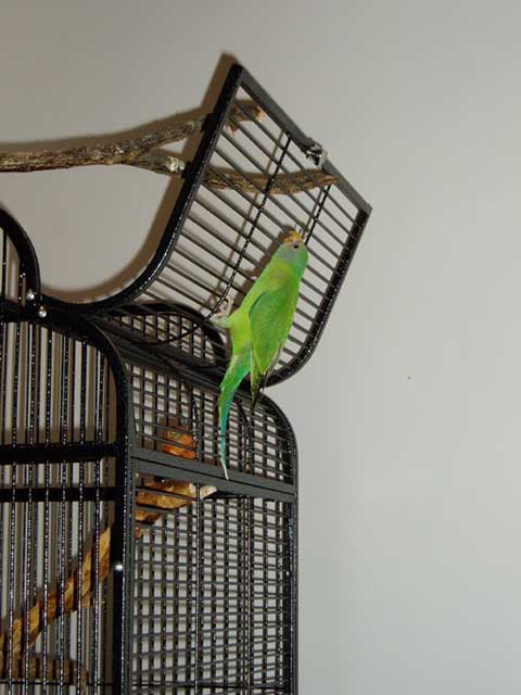 082006 1.jpg