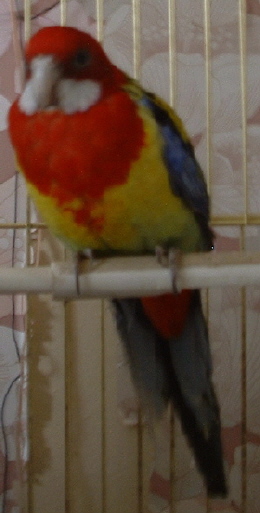 16.JPG