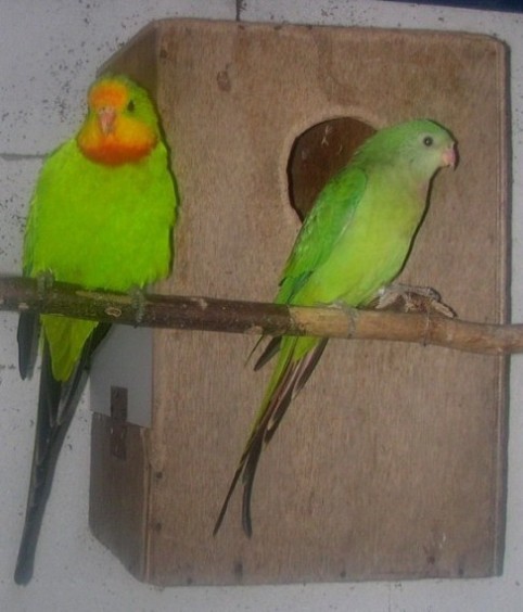 DSCN1191.JPG