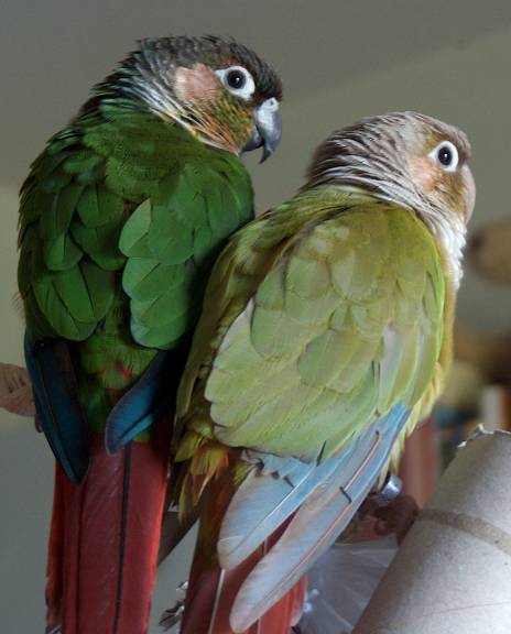 2006-09-14 009.jpg