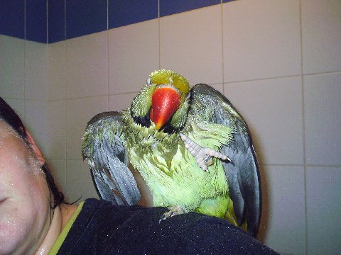 Photo 044.jpg