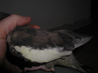 P1010006.jpg