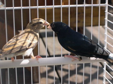 DSCN0039.jpg