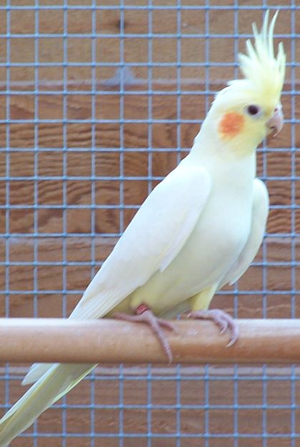 100_1698.jpg